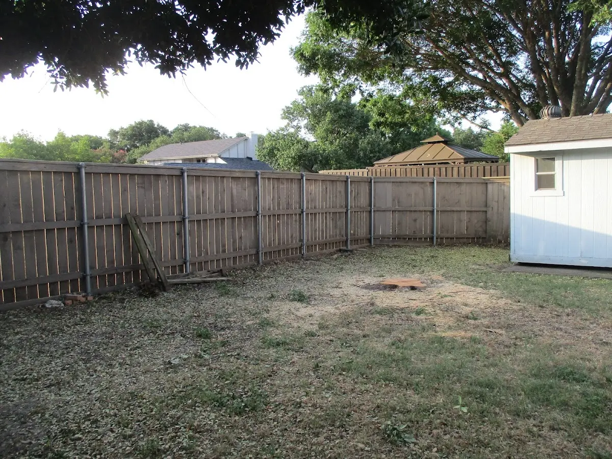 Cleared yard after professional tree removal in Emporium
